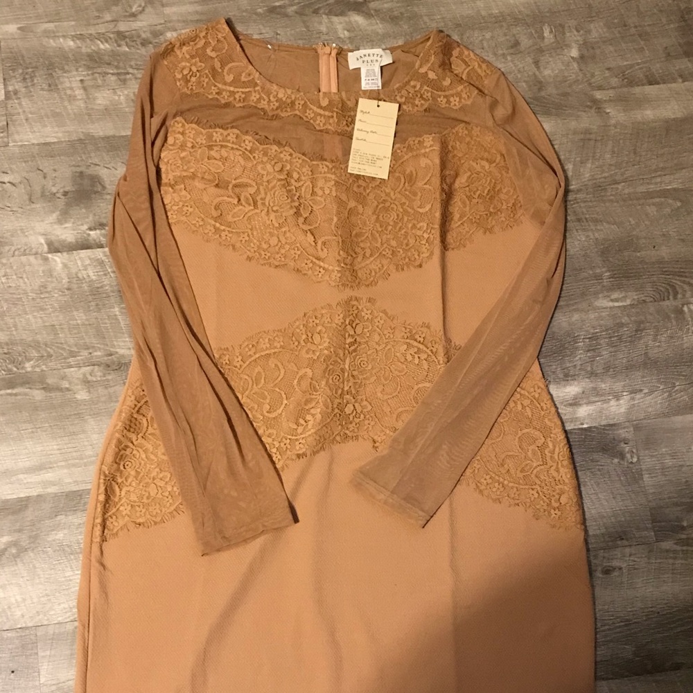 Lace plus size dress